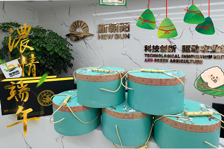 情暖端午  爱驻尊龙凯时