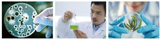 成都尊龙凯时作物科学股份有限公司